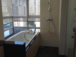 Twin Regency (D3), Condominium #615183851